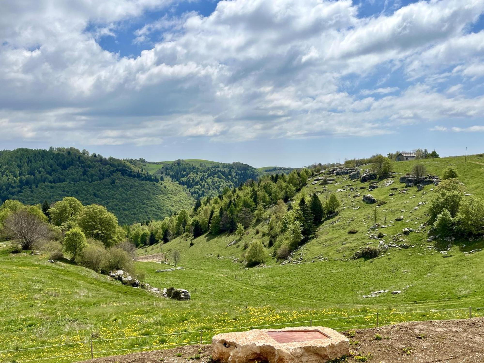 Agriturismo Malga Rambalda Villa Selvavecchia ภายนอก รูปภาพ