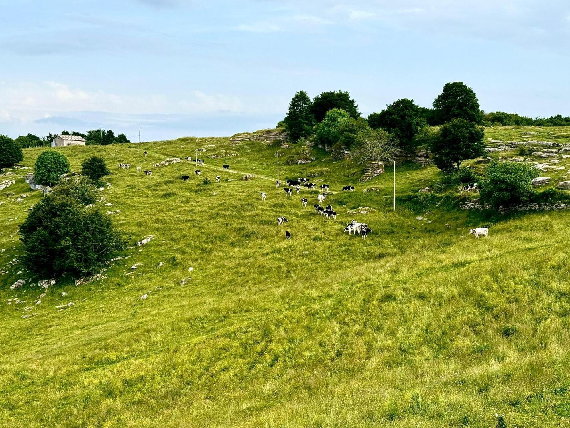 Agriturismo Malga Rambalda Villa Selvavecchia ภายนอก รูปภาพ